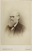 Charles Darwin NPG Ax17797