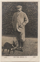 King Edward VII NPG x193253