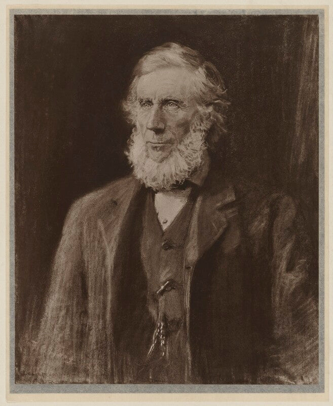 John tyndall npg d39602