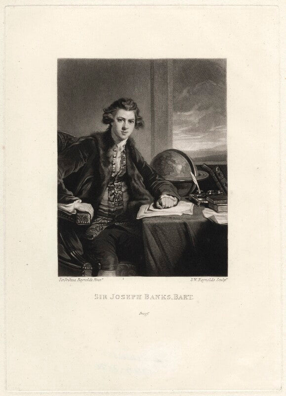 Sir joseph banks, bt npg d621