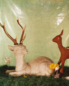 Stag Groups NPG x222009