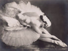 Anna Pavlova in 'The Dying Swan' NPG x139574