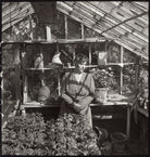 Margery Allingham NPG x68926