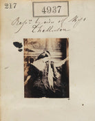 Unknown woman ('Reproduction by order of Miss Thellusson') NPG Ax54945