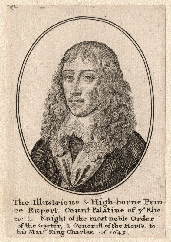 Prince rupert, count palatine npg d18152