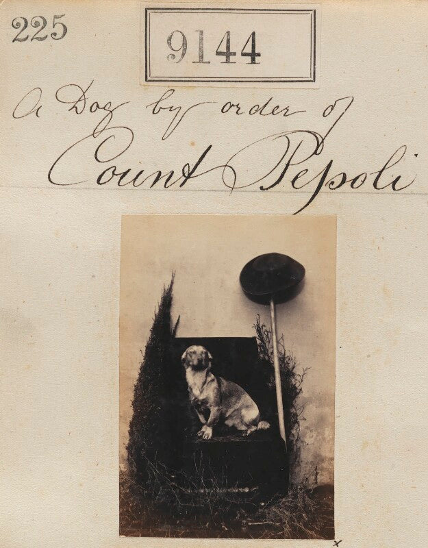 'a dog by order of count pepoli' npg ax58966