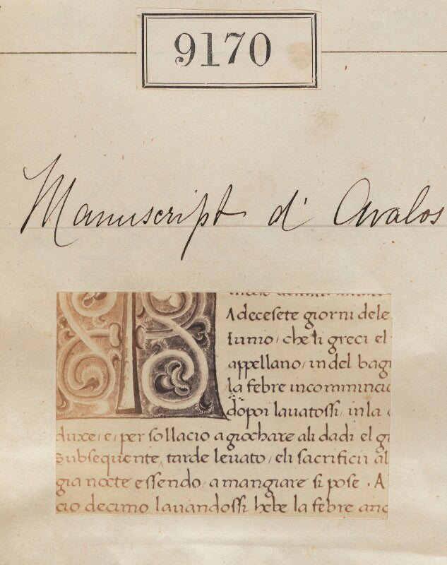 'detail from manuscript d'avalos' npg ax58992