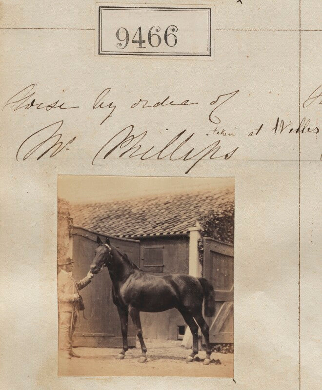 'horse by order of mr phillips' npg ax59273