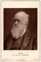 Charles Darwin NPG x5939