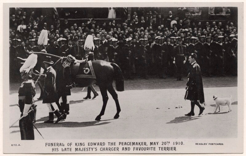 'funeral of king edward the peacemaker, may 20th 1910. his late majesty's charger and favourite terrier.' npg x44622