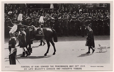 'Funeral of King Edward the Peacemaker, May 20th 1910. His Late Majesty's Charger and Favourite Terrier.' NPG x44622
