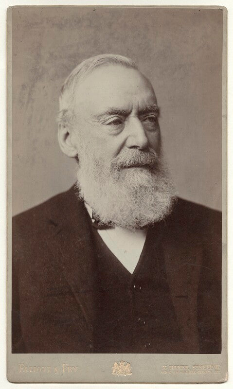 Sir charles gavan duffy npg x22266