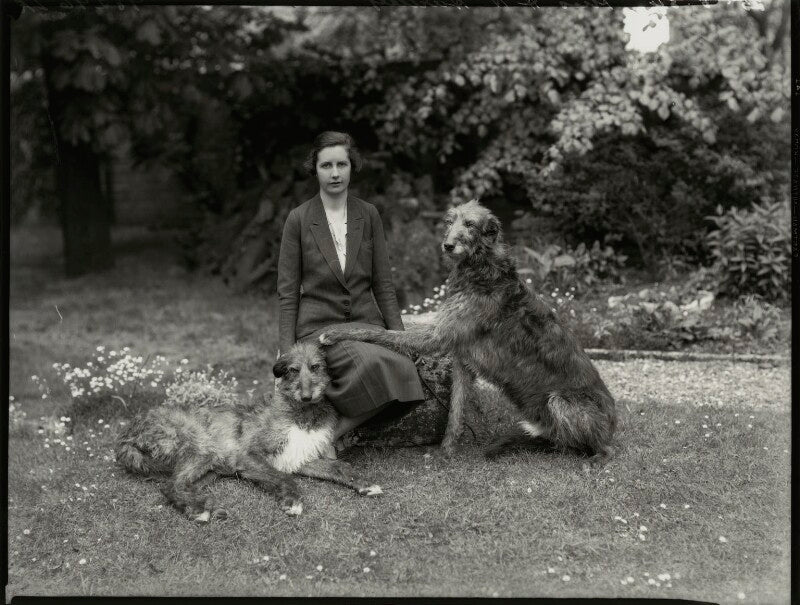 H.n. hartley npg x151123