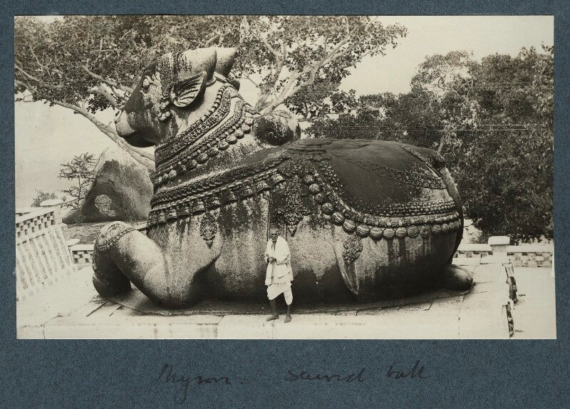 Nandi bull, mysore npg ax143835
