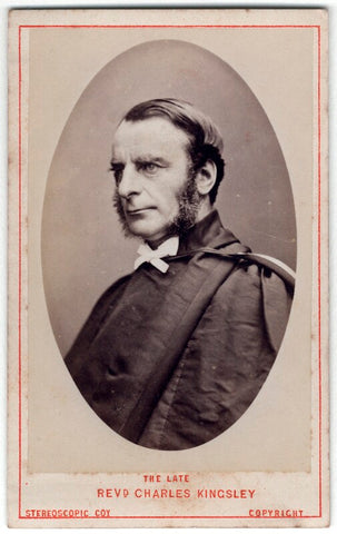 Charles Kingsley NPG Ax46216