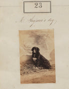 Henry Ker Seymer's dog NPG Ax50019