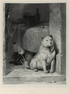 'Low life' NPG D22016