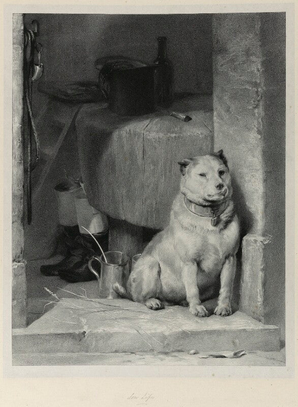 'low life' npg d22016