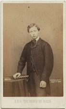 King Edward VII when Prince of Wales NPG x12782