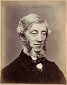 William Reginald Courtenay, 11th Earl of Devon NPG Ax21854