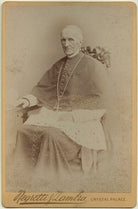 Henry Edward Manning NPG x4967