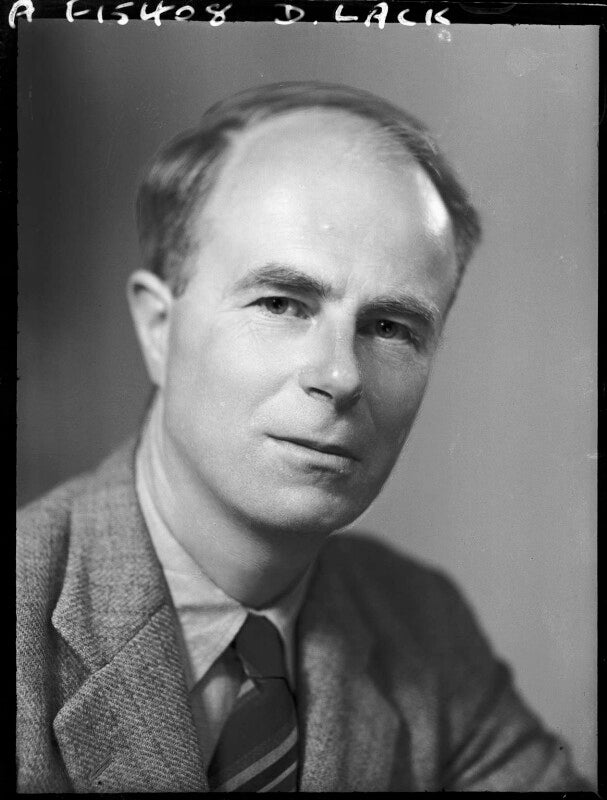 David lambert lack npg x92110