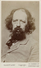 Alfred, Lord Tennyson NPG Ax18220