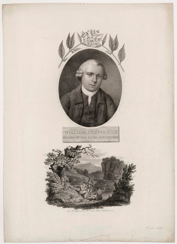 William curtis with 'the frontispiece to mr curtis' flora londinensis' npg d34478