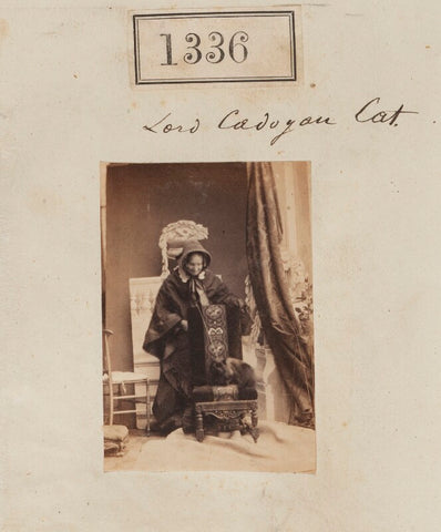 'Lord Cadogan's cat' (probably Honoria Louisa (née Blake), Countess Cadogan with her cat) NPG Ax50736