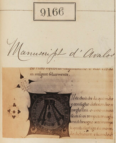 'Detail from Manuscript d'Avalos' NPG Ax58988