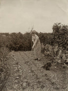 Mary Merrall NPG x83311