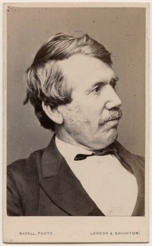David livingstone npg ax18284