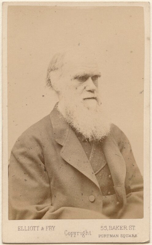 Charles darwin npg ax46279