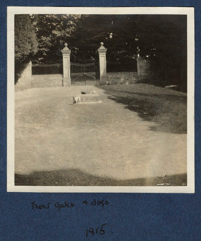 'Front Gates and dogs' (Garsington Manor) NPG Ax140422
