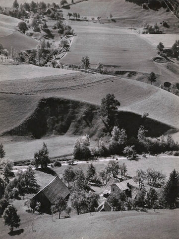 'Austrian Landscape' NPG x139898