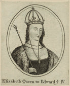 Elizabeth Woodville NPG D23804