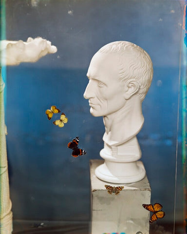July (Butterflies and Bust) NPG x222024