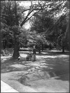 Sir Archibald Dennis Flower; Florence (née Keane), Lady Flower NPG x37162