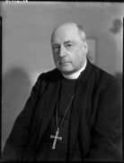 Alfred Walter Frank Blunt NPG x154189