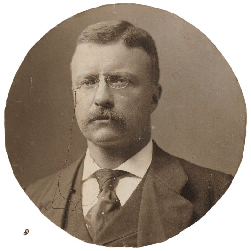 Theodore roosevelt npg p1700(58a)