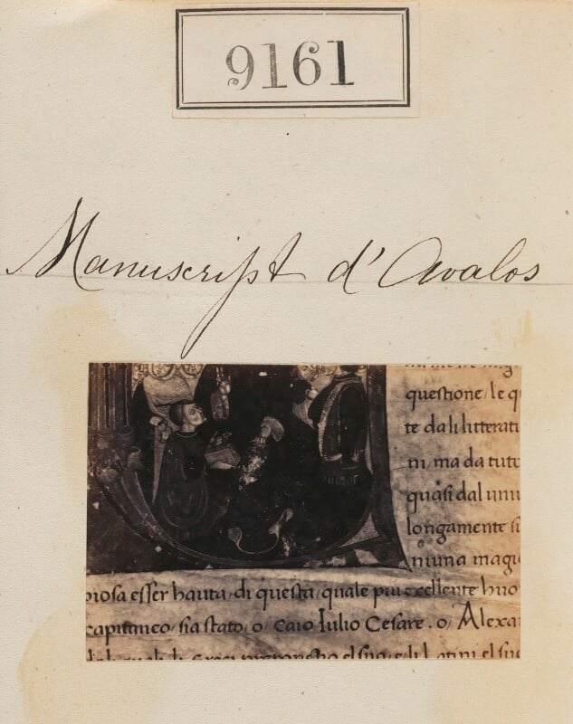 'detail from manuscript d'avalos' npg ax58983