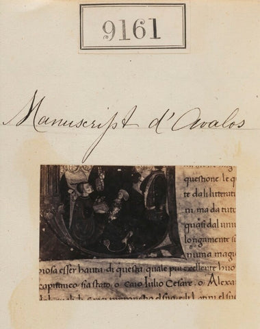 'Detail from Manuscript d'Avalos' NPG Ax58983