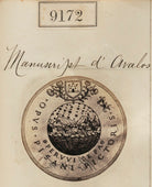 'Detail from Manuscript d'Avalos' NPG Ax58994