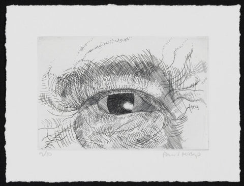 Engraving of an eye NPG D49613