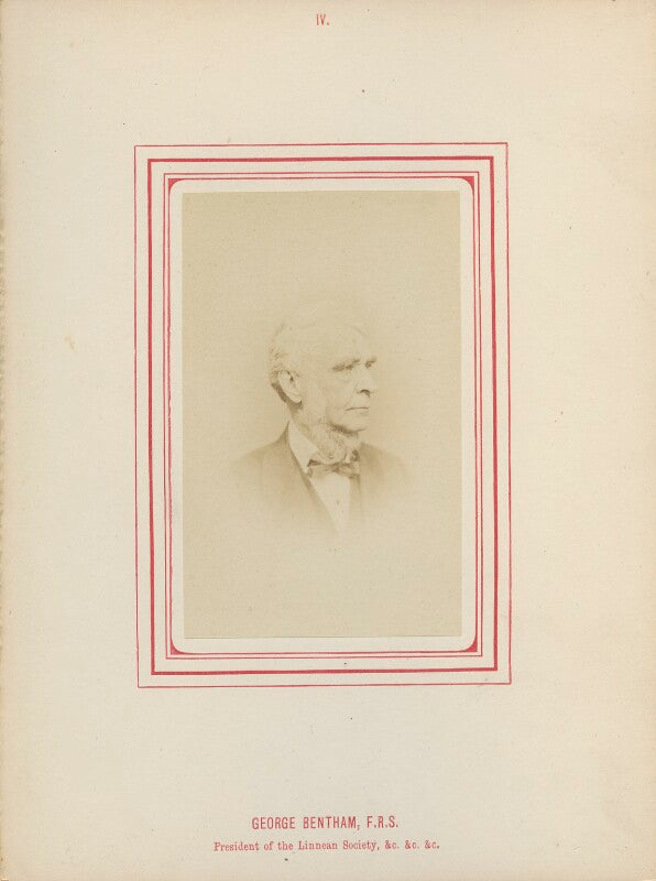 George bentham npg ax14782