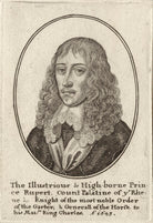 Prince Rupert, Count Palatine NPG D26477