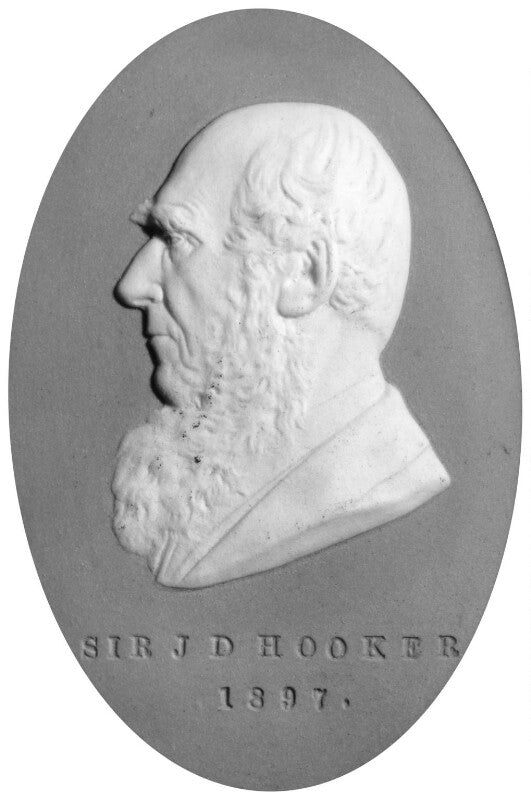 Sir joseph dalton hooker npg 2033
