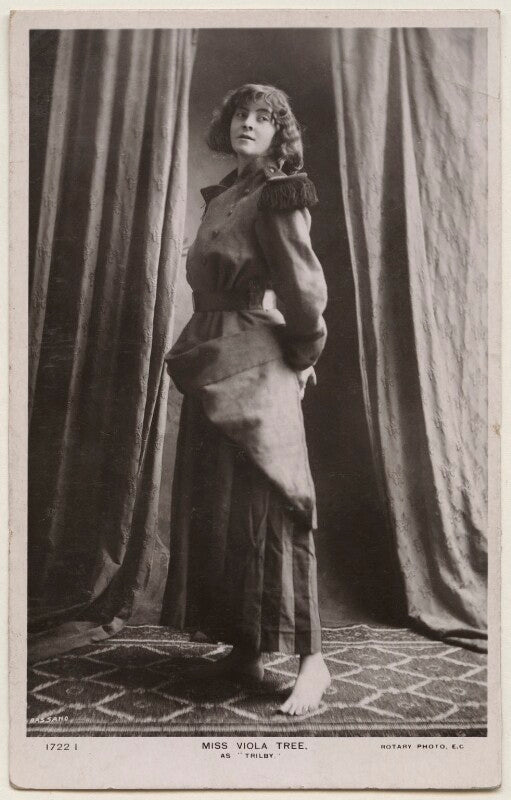 Viola tree as trilby npg x198050