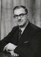 Sir Horace Edwin Holmes NPG x89807