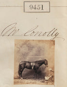 Mr Conolly NPG Ax59258